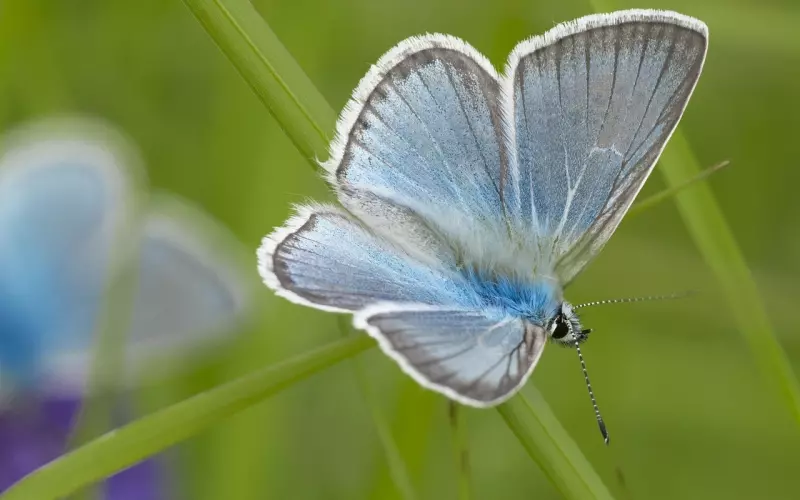 和前男友断联7个月 复合之路该怎么走