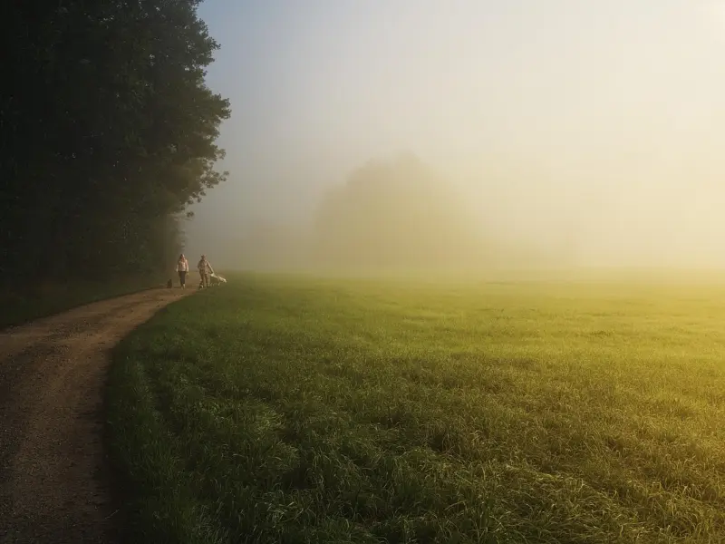 我很爱我男朋友，但是他已经移情别恋了要和我分手，我们样才能挽回他的心