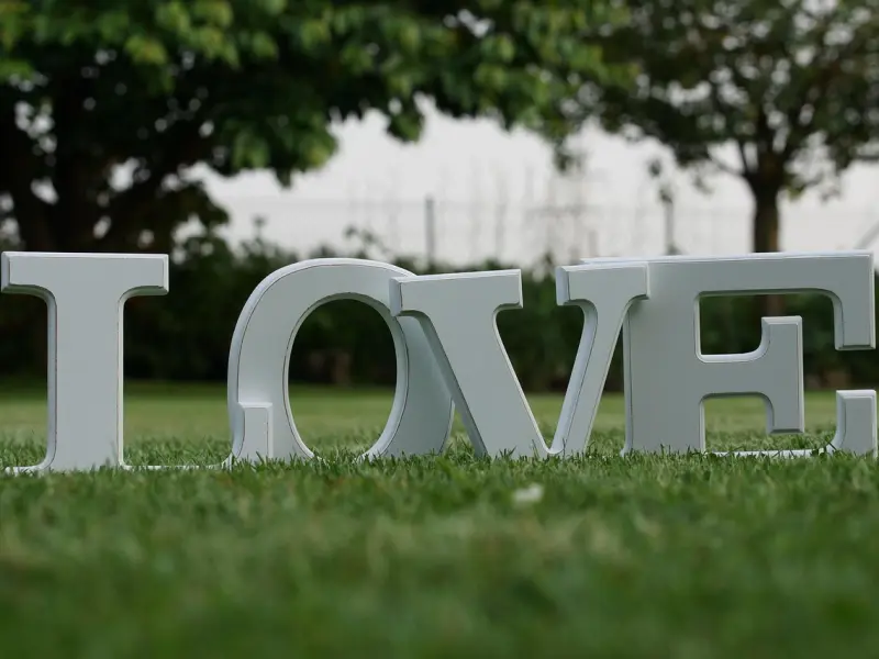 我爱你所以挽回你