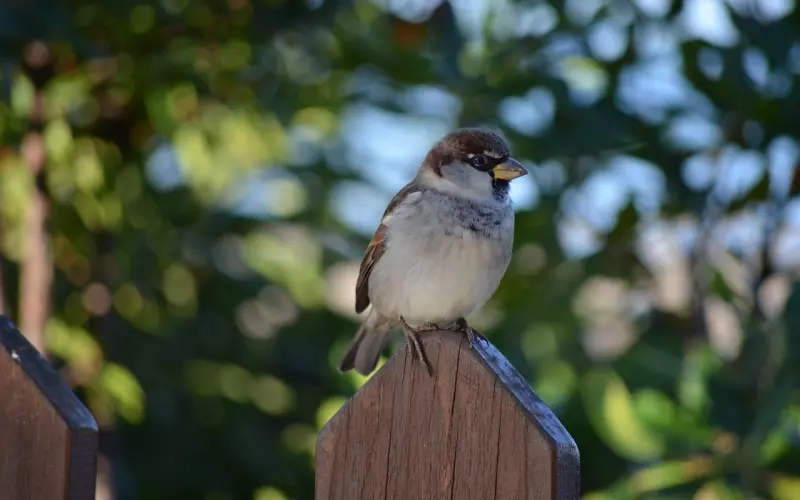 我提的分手，为什么还会这样难过？