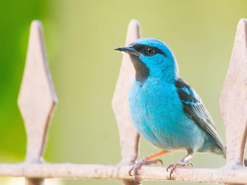 “我遇到了真爱，但我已经有了家庭，我该怎么办？”