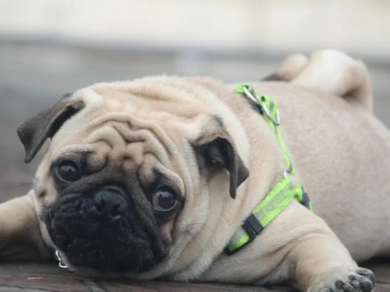 谈着谈着不爱TA了，该不该分手？