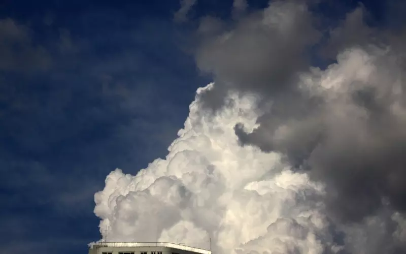 明明很爱他，为什么却说不出口？