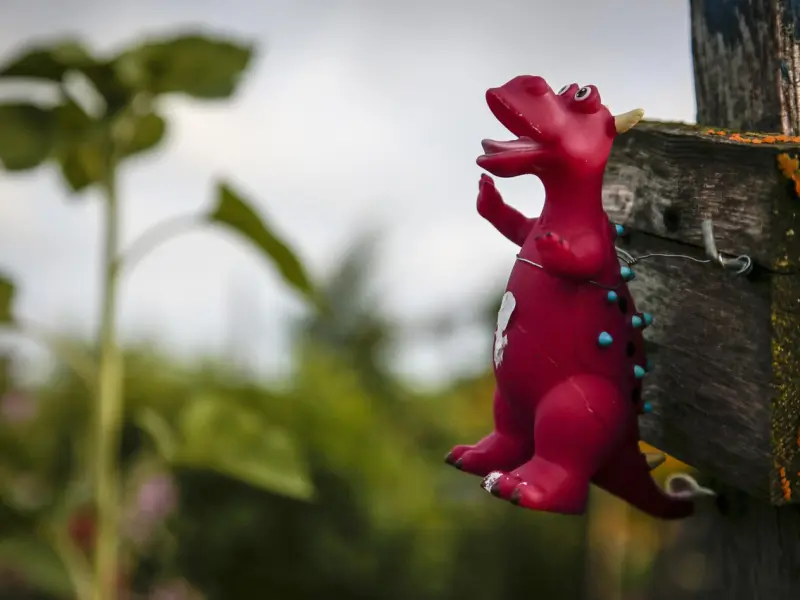 时常梦见前男友，该怎么判断自己还爱他？