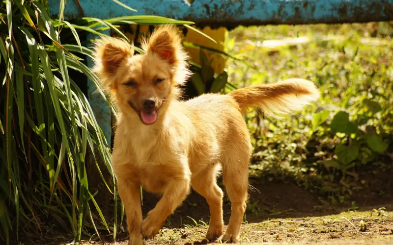 我特别喜欢这四段话。