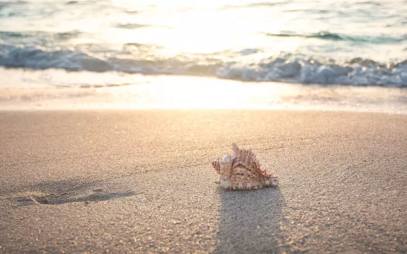 高一结束那年的暑假我离家出走了