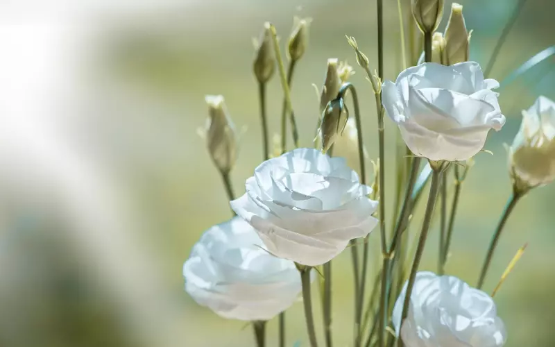 很介意男友前任怎么办