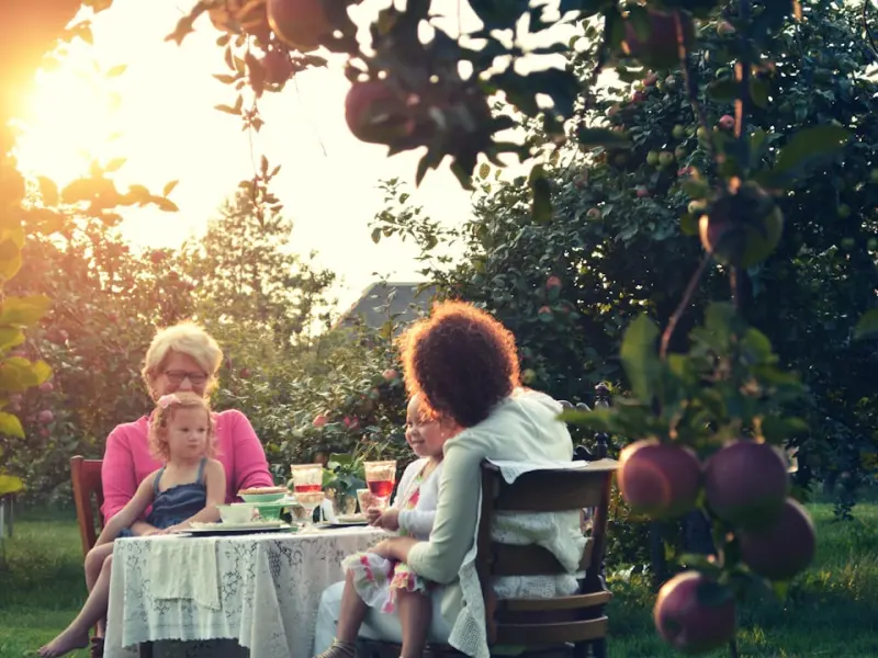 好后悔当初和老婆离婚，现在想要和她复婚但是怕她不同意，我该怎么办