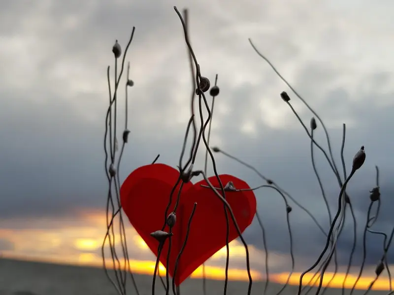 我最近发现老公在外面包二奶，我该怎么去对付他