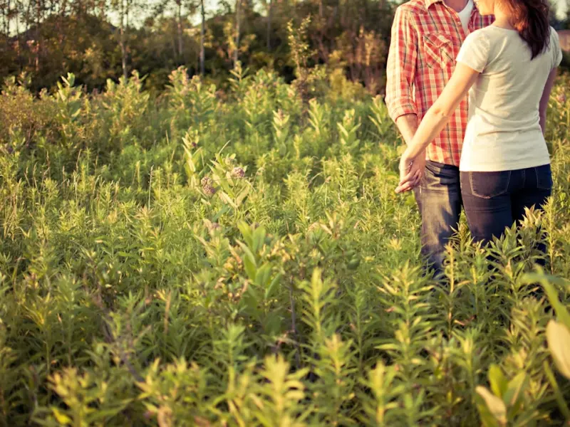 我很后悔提了分手，现在该怎么挽回女朋友？