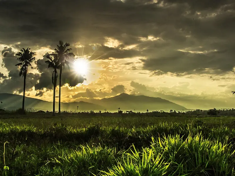 分手之后把女友拉黑后悔了，还能挽回吗？挽回应该怎么做呢？