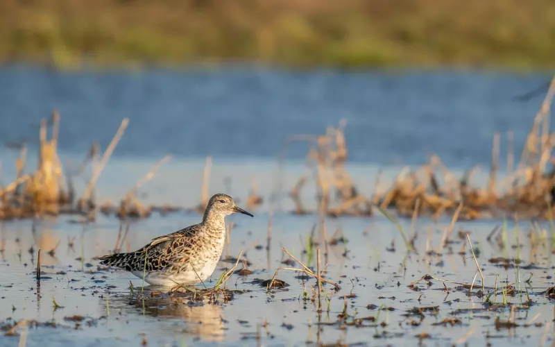 分手后我却后悔了该怎么挽回男友(分手后怎么让男人后悔让他挽回你)
