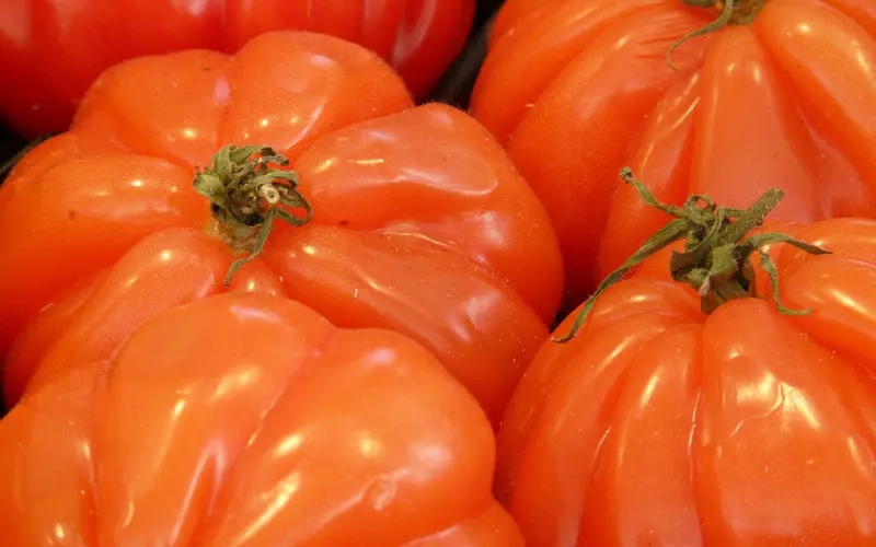 发错消息了，如何挽回女生的心？