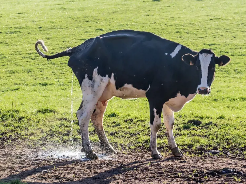 跟老婆聚少离多，我的婚姻还有必要维持下去吗