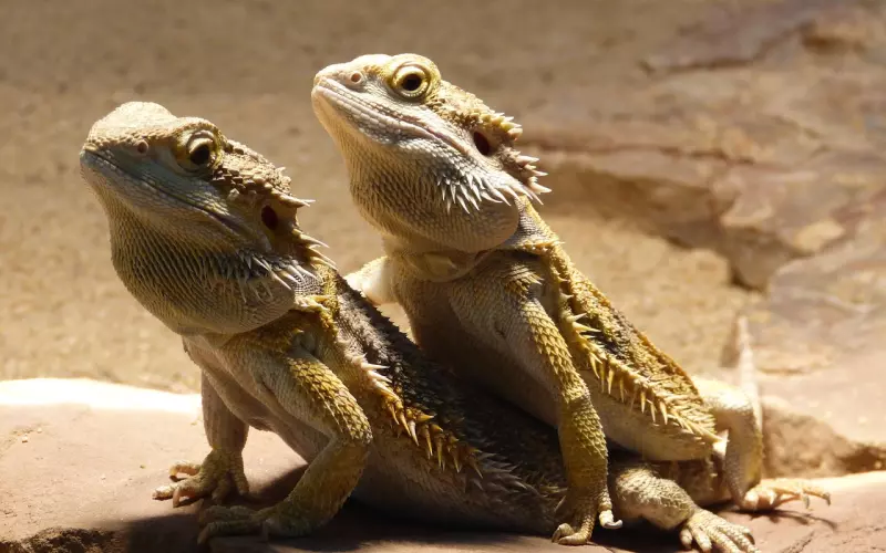 分手后还留着微信，原来有这层含义！