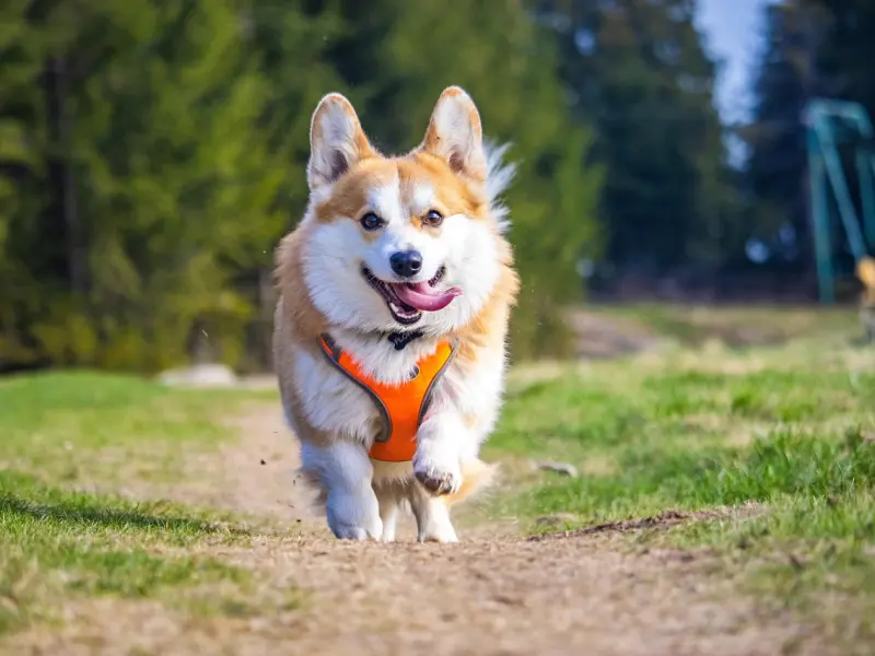 我还喜欢你，活该我单身