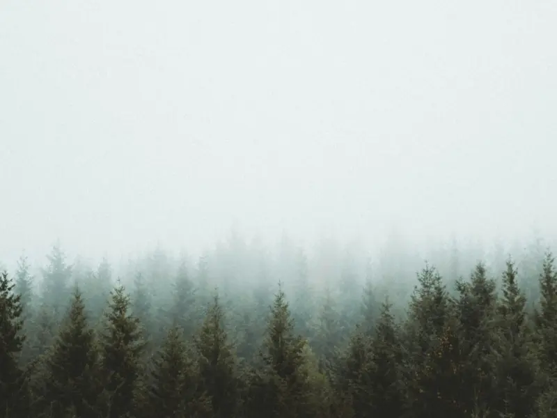 分手了还爱着双子座前男友，该怎么挽回