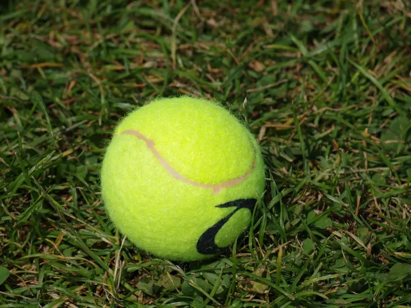 觉得他不够真心，怎样让他说心里话