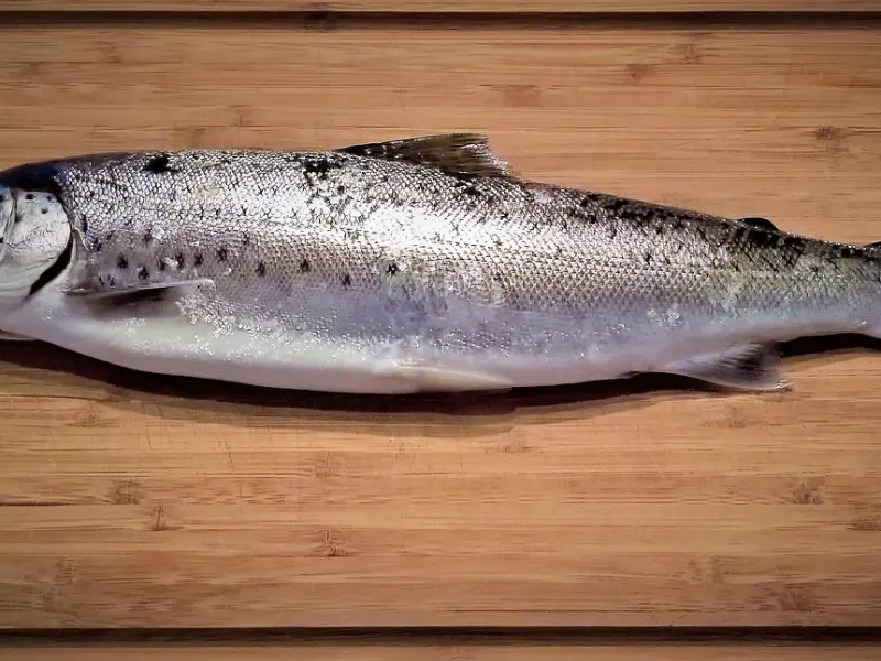 分手后我努力改变了自己，为什么还是不能挽回男友