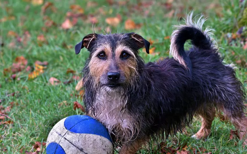 我信任你，但未必要信任他!