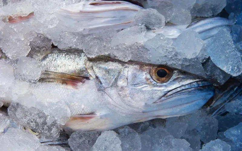 懂得，无须多言