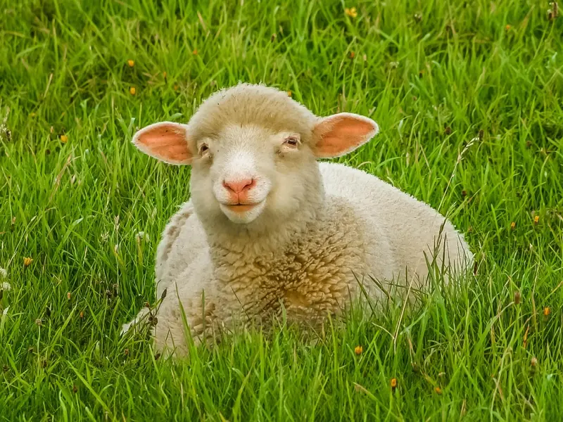 这个道理我懂……