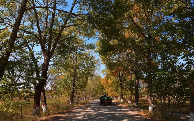 我想挽回感情但是不知道怎么去做(如何去挽回一段无法挽回的感情)