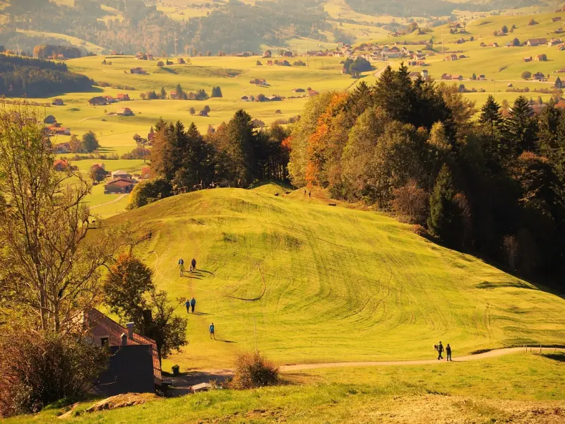 我想挽回前妻，该怎么做？
