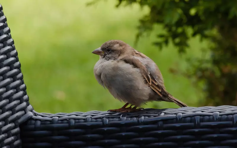 挽回前男友他却不理我 有什么实际的挽回办法