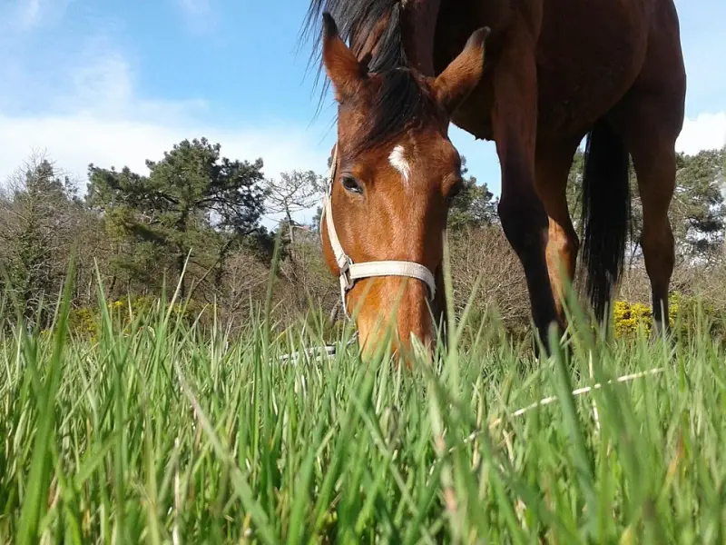 我想挽回他，但我不想主动