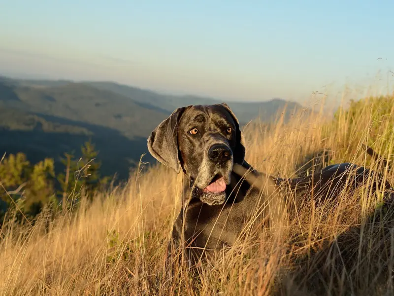 “我几次想要去广州都被他以各种方式拒绝，预感到他一定是和他的女上司在一起了！”