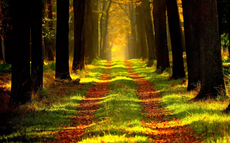 我害怕离开，但感觉又不得不离开。