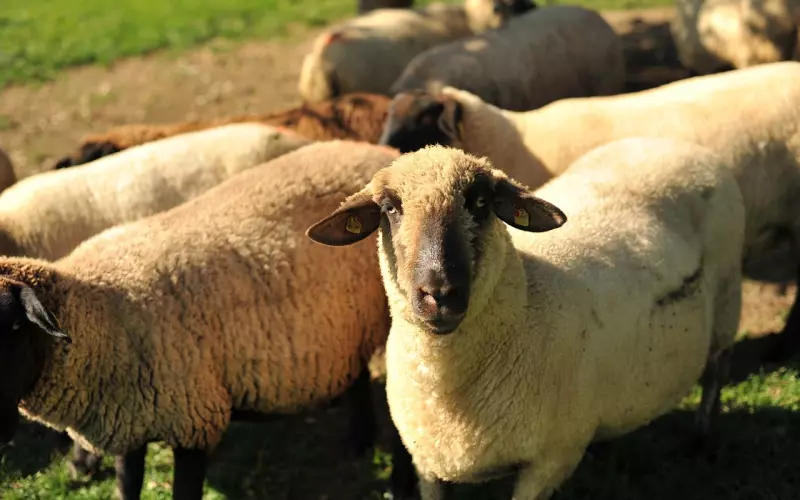 分手后被男友拉黑，该怎么挽回呢