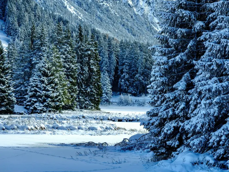 莫名被分手，怎么挽回？