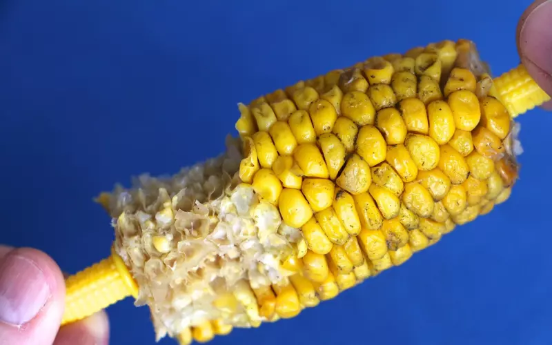 当场被抓出轨，这种老公我还要挽回吗