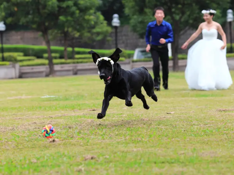 “我被他骗财骗色，连累爸妈，很想让他坐牢！”