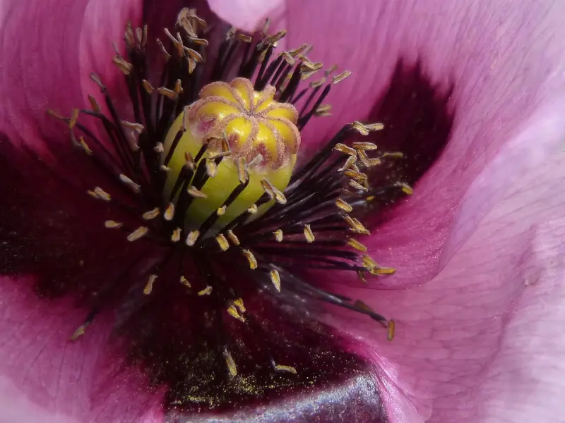 我喝醉了，前男友吻了我