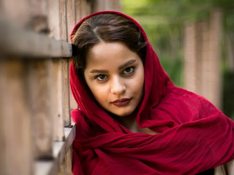 ♬ 老母鸡的忠言，震惊了！