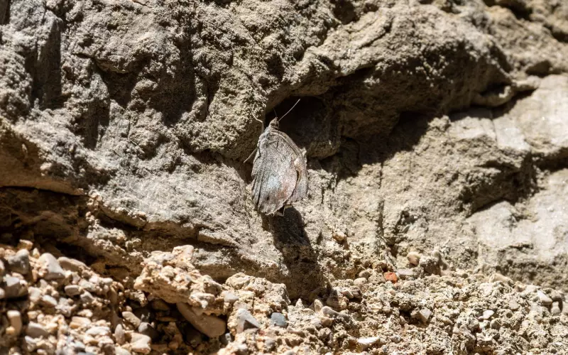 突然被分手 离开前男友我很不适应怎么办