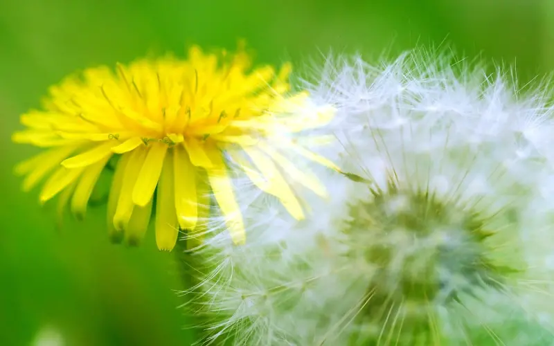 以前我太傻，现在我懂了。