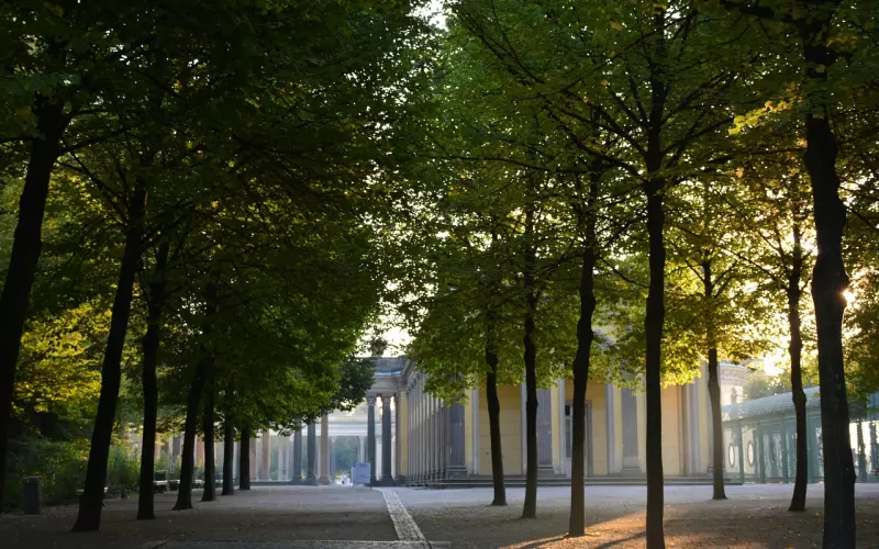 愿你我无恙，幸福无忧。