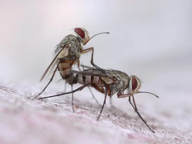 我在外面打工，老婆却背叛我，我该怎么办