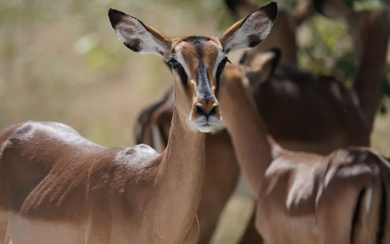 宁缺毋滥的我，转角遇见你
