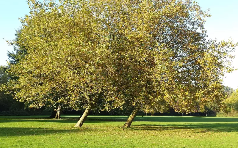 我帮女生写了一封挽回信，迅速挽回了男友！