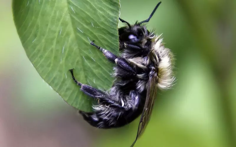 2019写给自己的说说短句，句句扣人心弦，看了就不会忘！