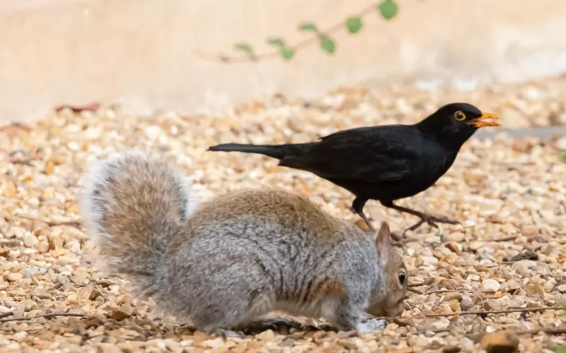 识别渣男：一夜情出轨的男友还值得在一起吗？