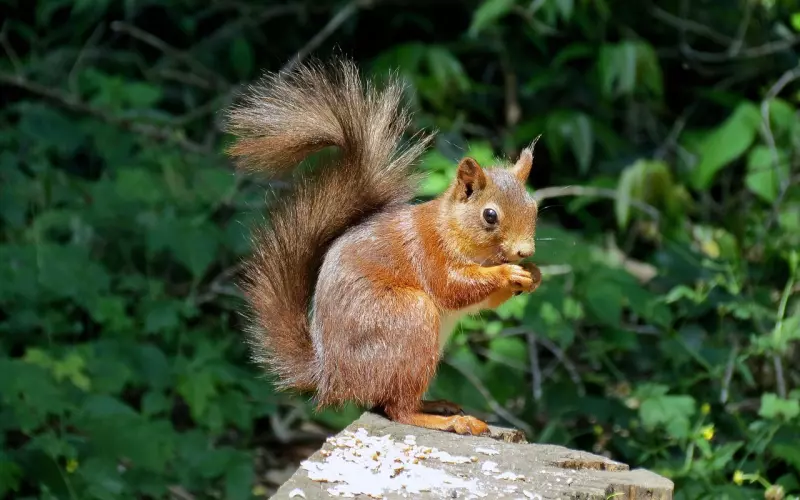 识别渣男：不靠谱的男生会有什么表现？