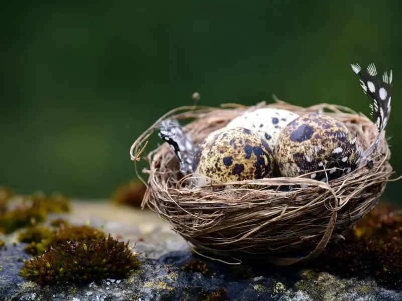 夫妻之间，有这4个举动，再恩爱也会离婚！