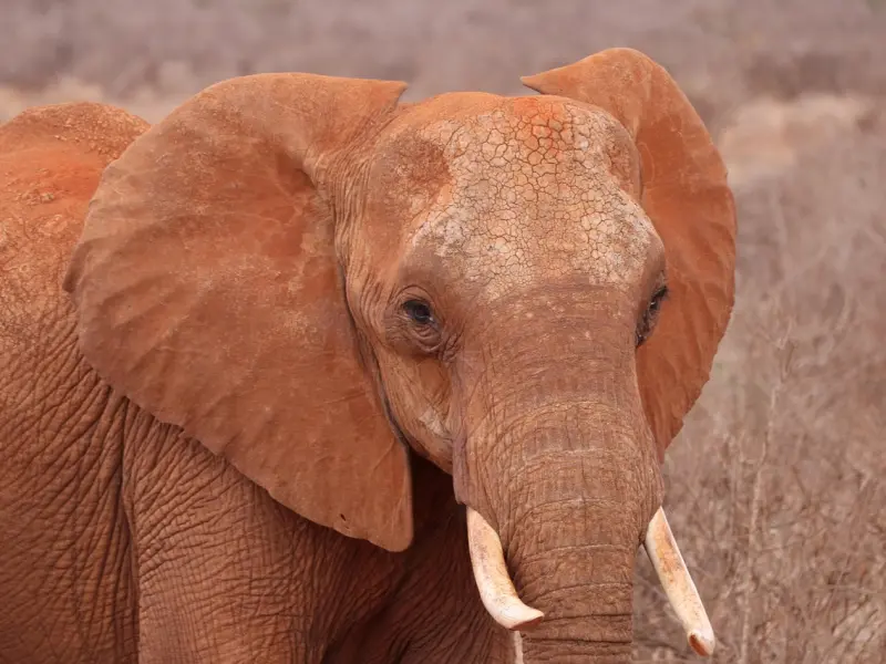 如果女生让你摸这3个地方，还等什么，赶紧下手吧