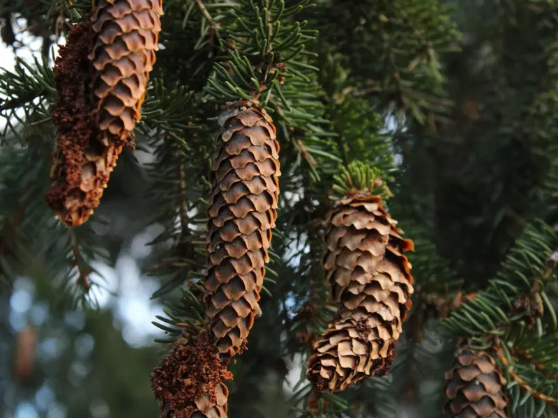 如果女孩告诉你这六个自己的“隐私”，那么就说明她已经喜欢上你